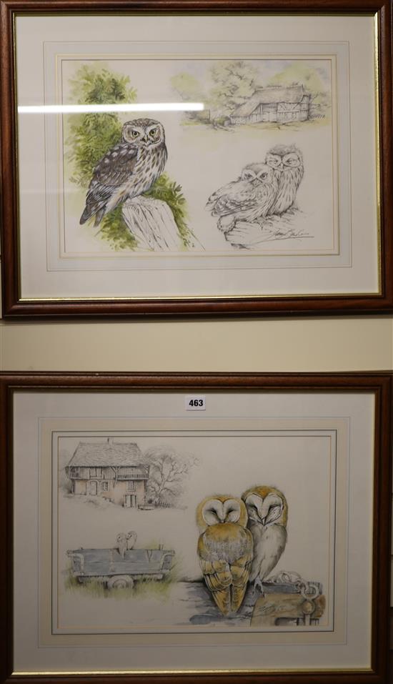 Ian Bowles, watercolour and pencil, La Vieille Ferme/Barn Owl and another, signed, 30 x 43cm